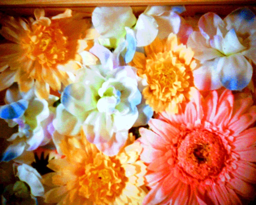 flowers