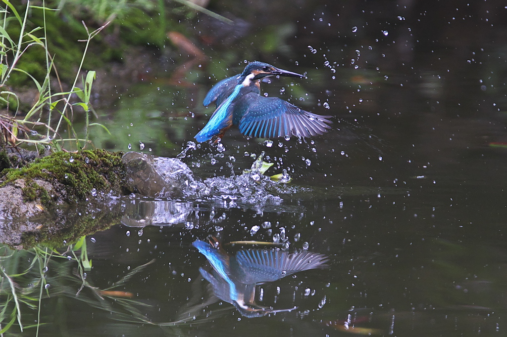 これからこれから～