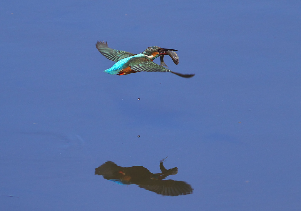 雫