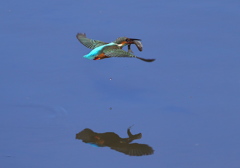 雫