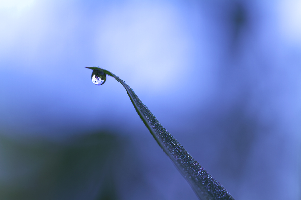 朝靄の忘れもの