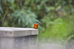 再び修行です。