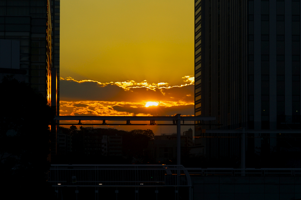 太陽にほえろ！