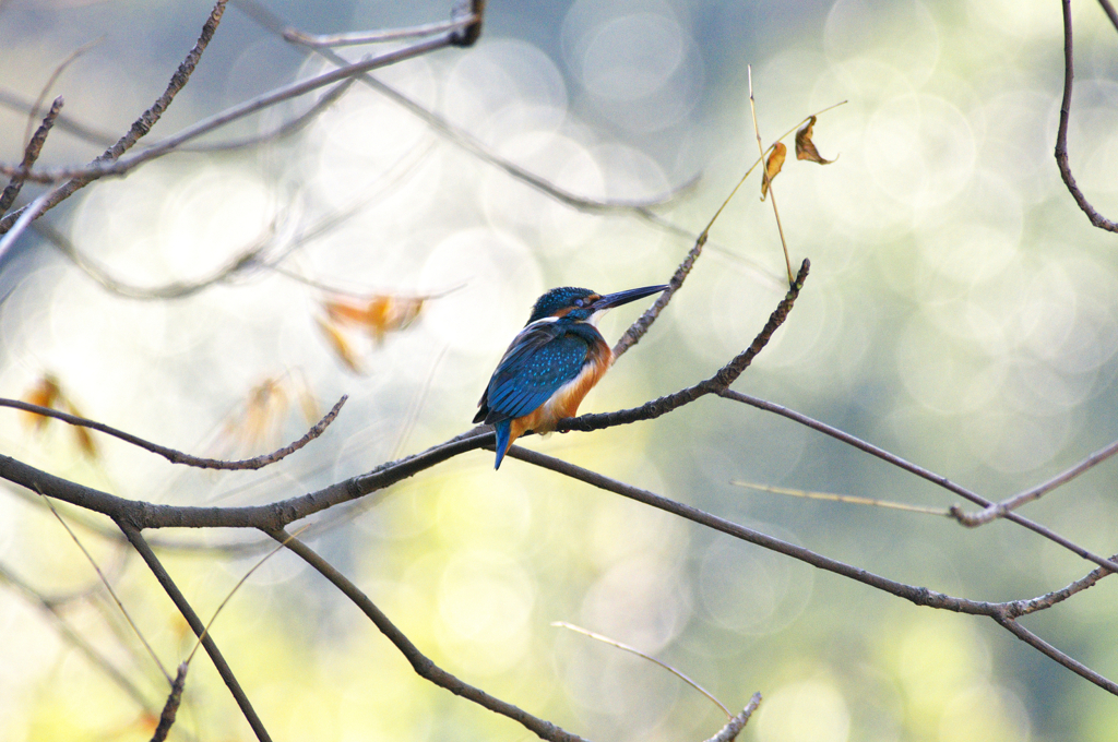 瞳の中のクリスタル