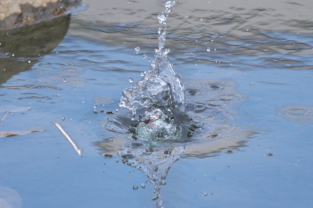 水に擁かれて4