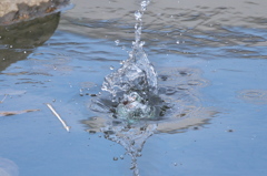 水に擁かれて4