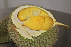 ごちそう？さまでした・・・３