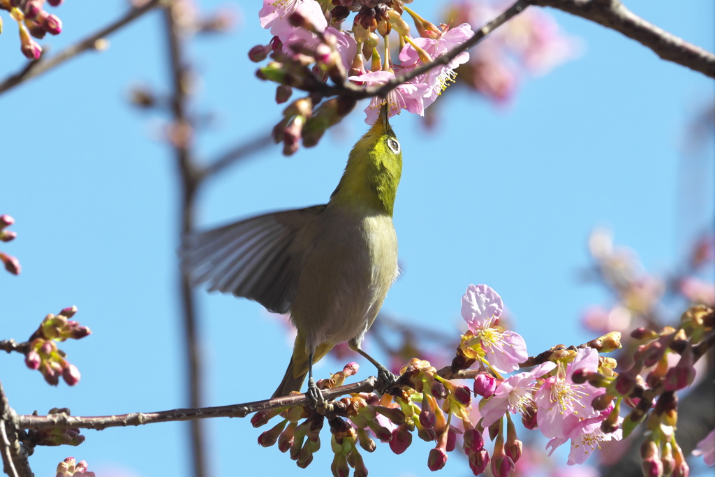 夢中です、お互いに(^-^)