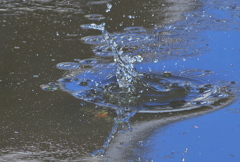 水中戦