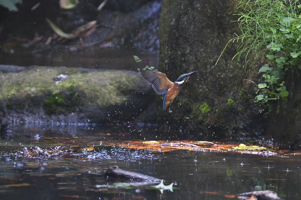 ３連休はダメよ～