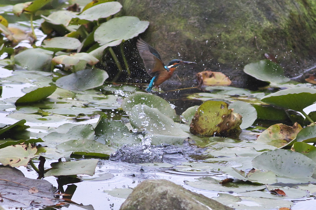 寒空の下、元気です(^.^)