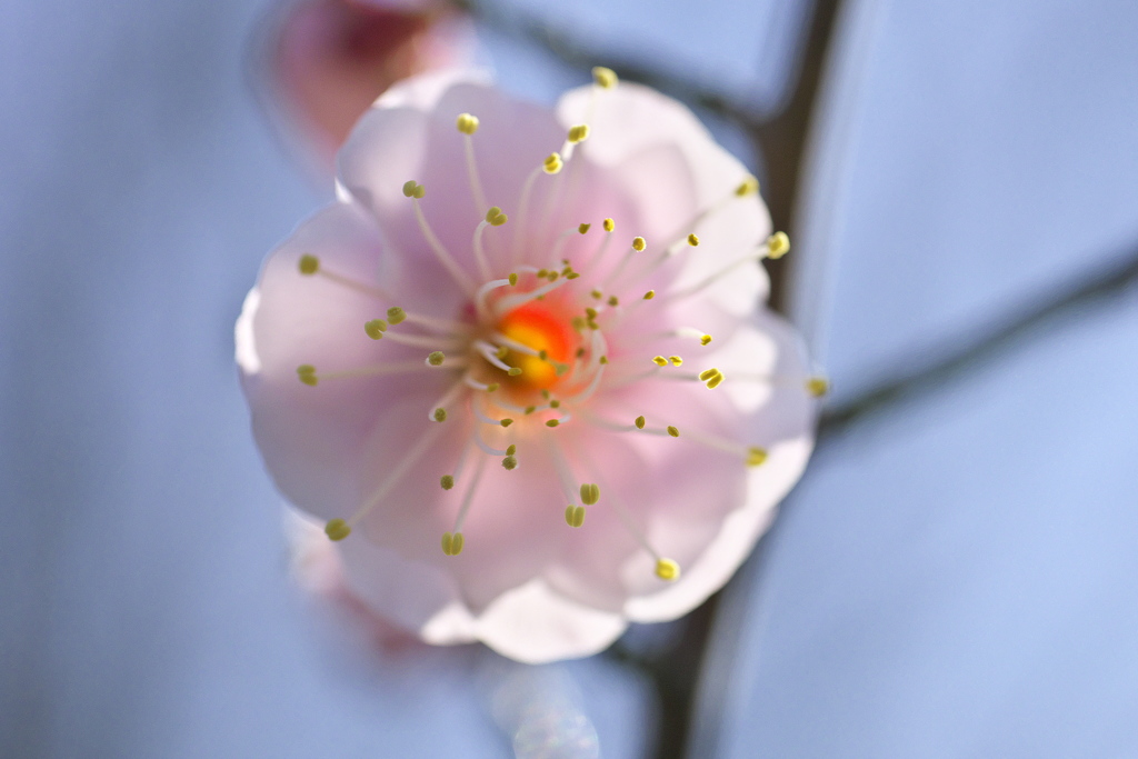 春色イメージ(^^♪