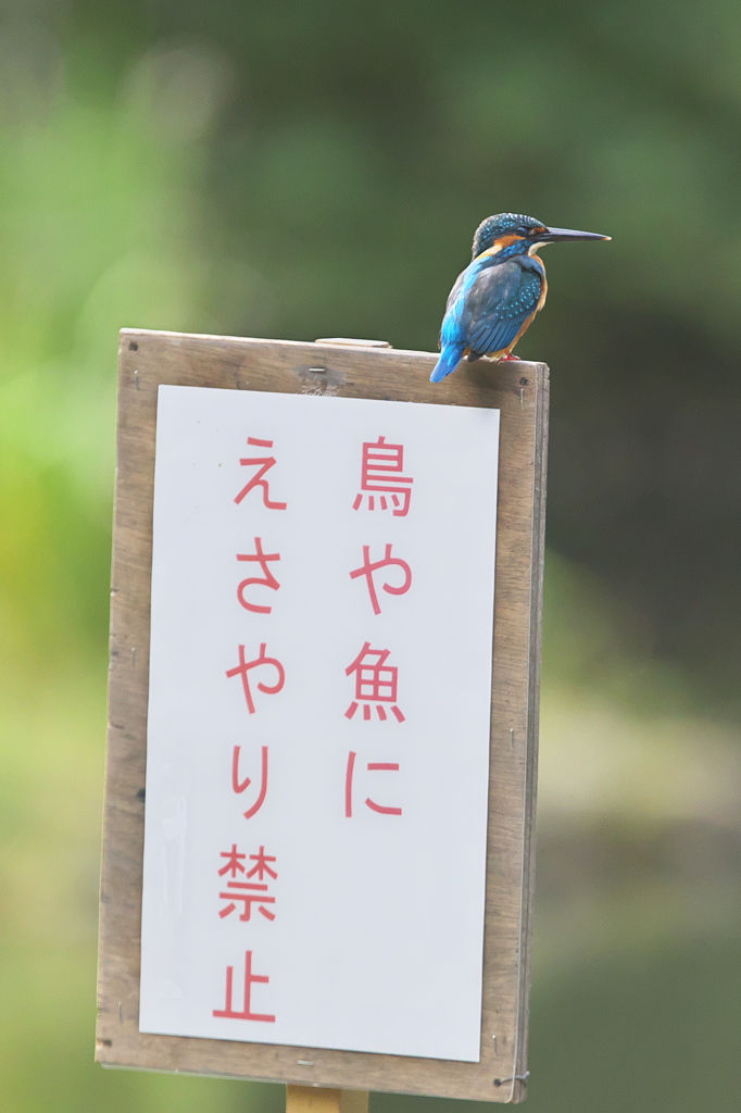 ありの～ままの～姿を～