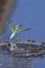 来年もよろしく