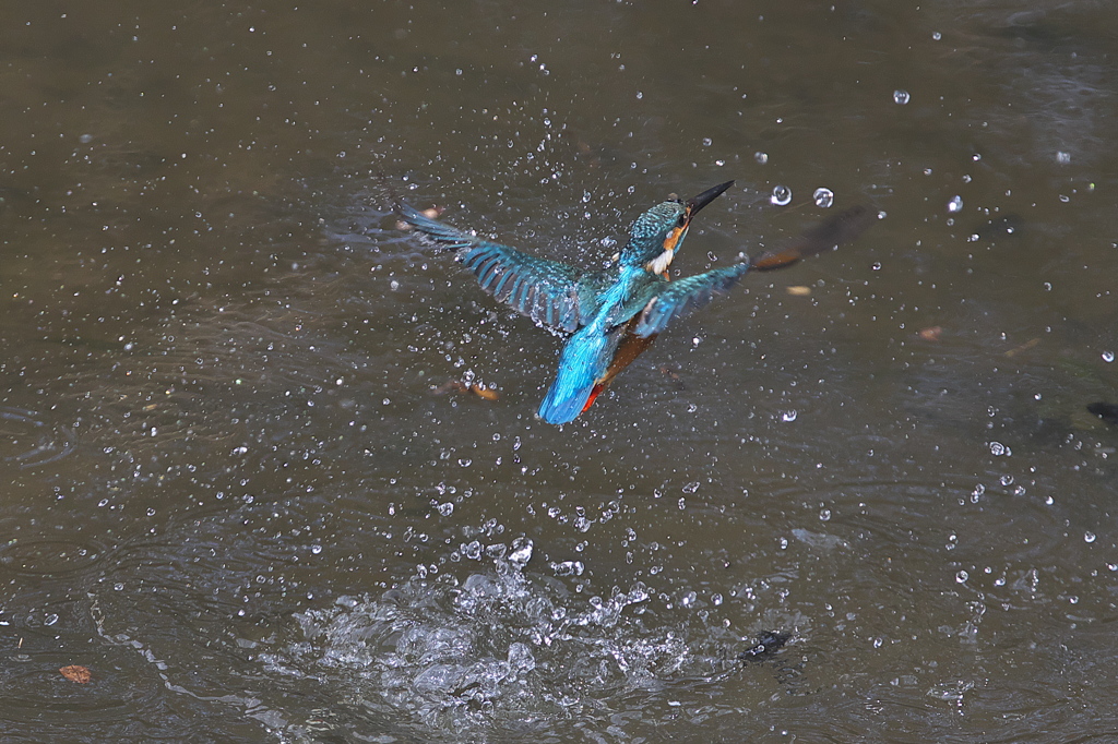 たまには近くでⅢ