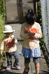種拾い
