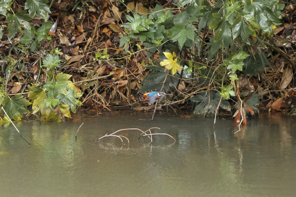 ちぃちゃいけど(^^ゞⅡ