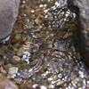 湧水