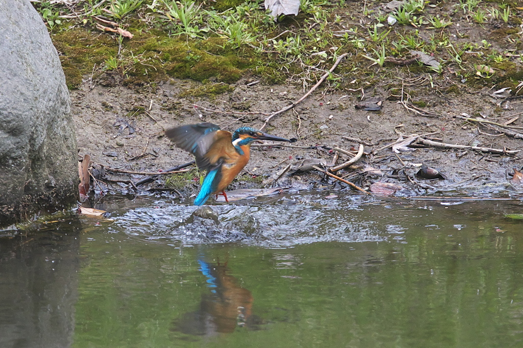 これがピン抜けだ～３