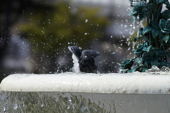 キャ～気持ちいい～
