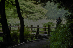 修行姿