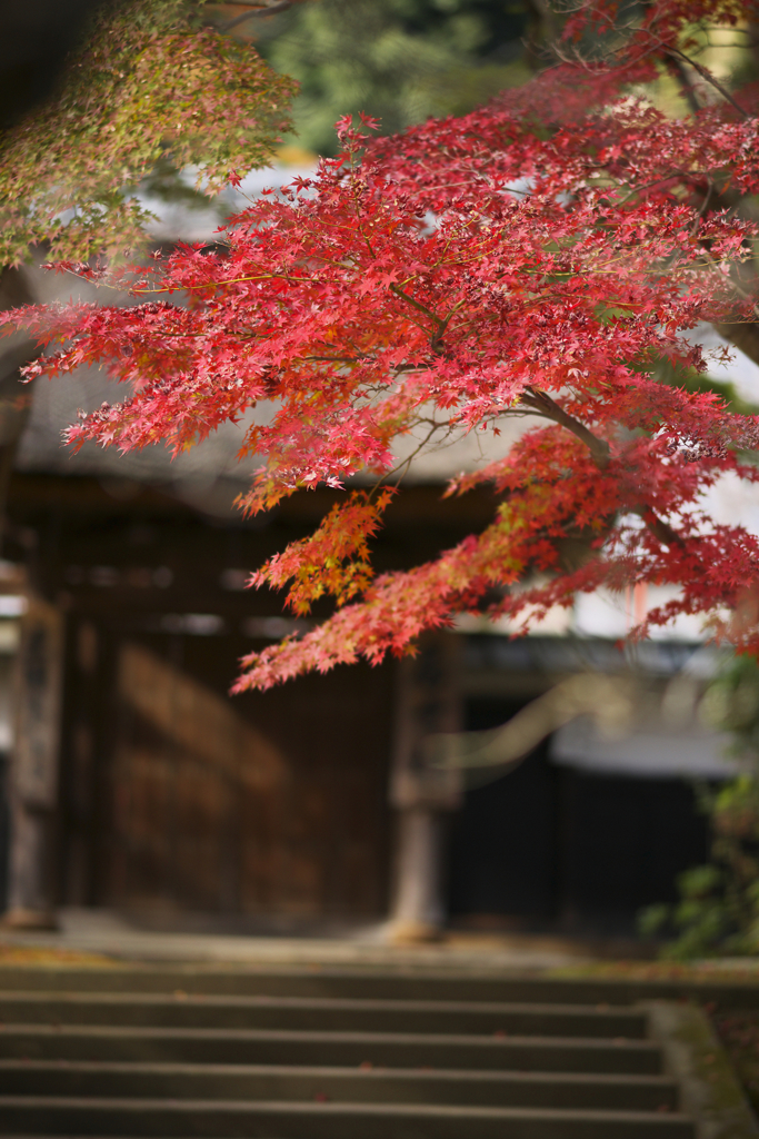鎌倉の秋
