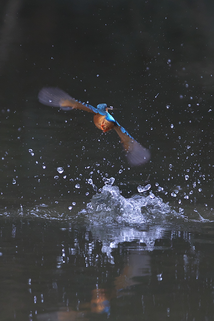 そりゃないゼseñor～２