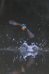 そりゃないゼseñor～２