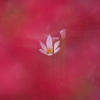 白一点