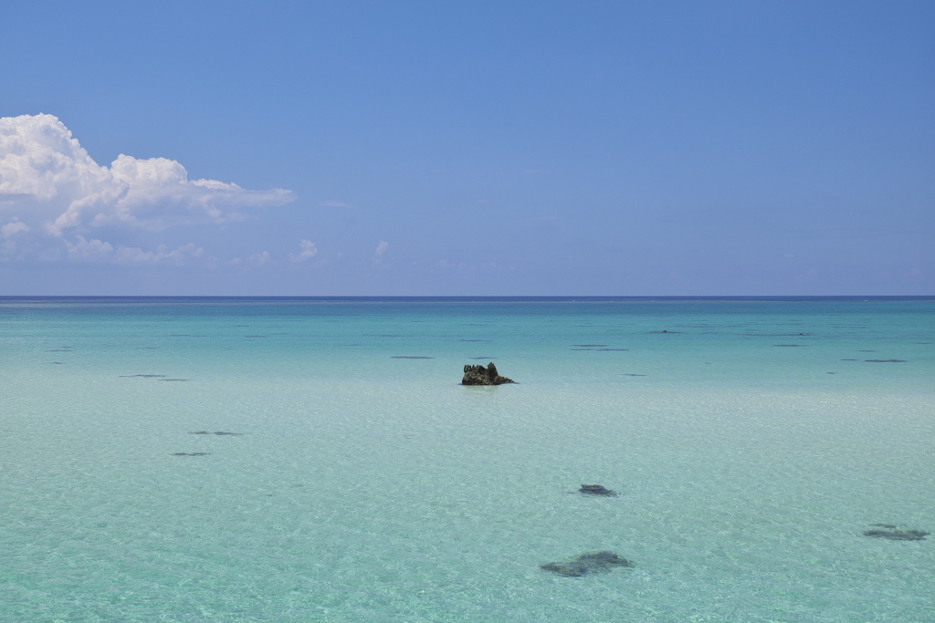 夏への扉