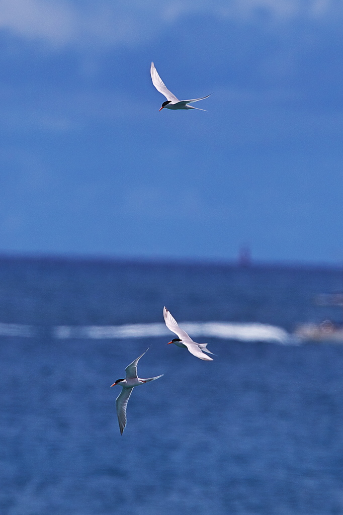 空色と海色