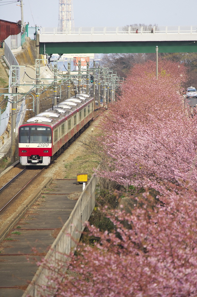 あ～かい電車は京急～♪