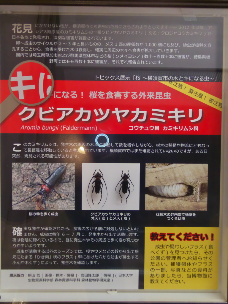 ＷＡＲＮＩＮＧ!!  ＷＡＲＮＩＮＧ!!