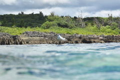 浅く静かに潜航せよ