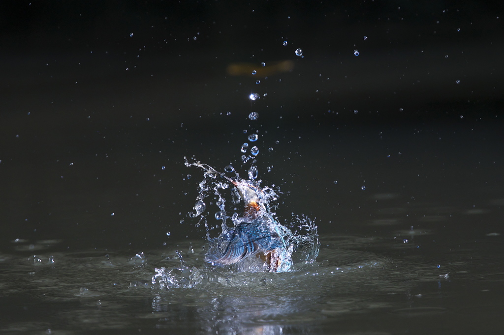水に擁かれて 1