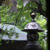 梅雨入り
