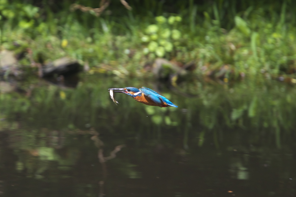 微妙にブレてる～