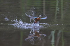 ♡に・・・見える・・・かな？