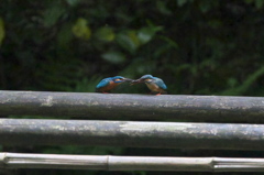 夜食ですよ～？