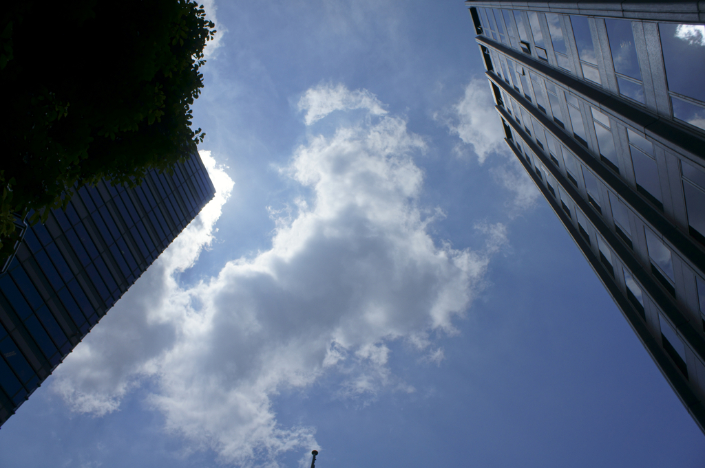 見上げた空