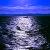 sail go out fishing!!