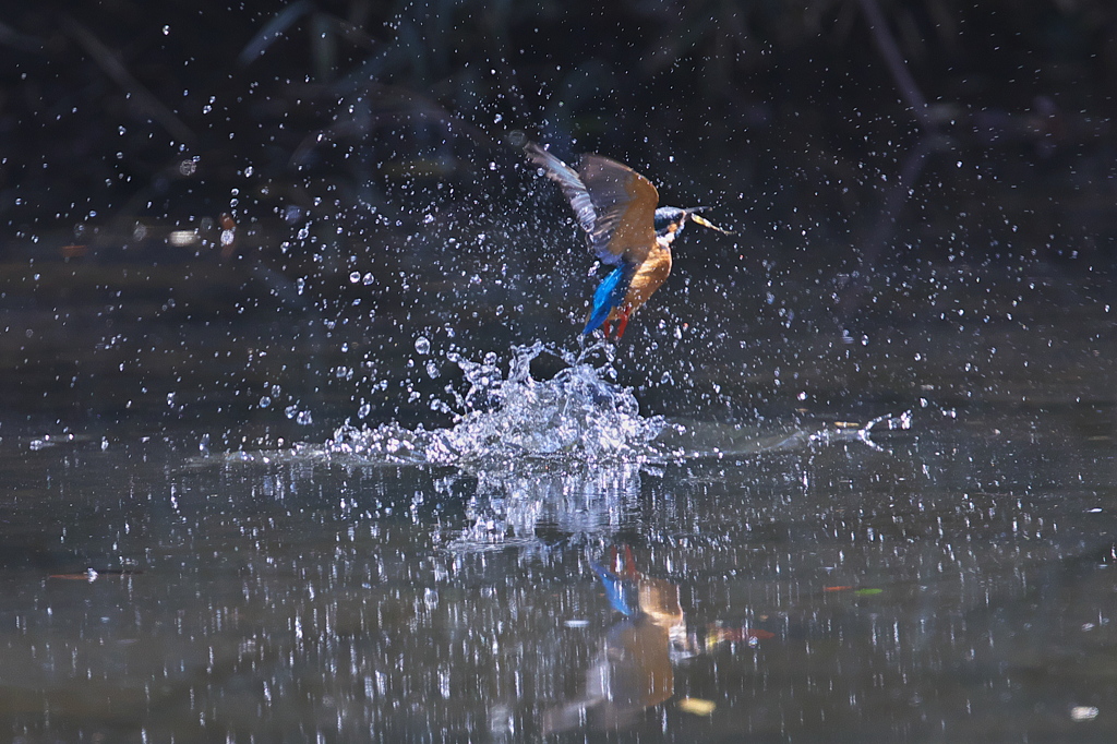 瞳が写らない～