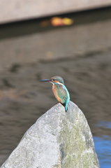 比較１