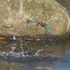 back step2