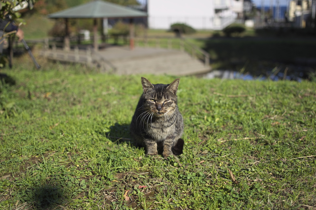 何にも無いよ～