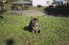 何にも無いよ～