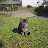 何にも無いよ～