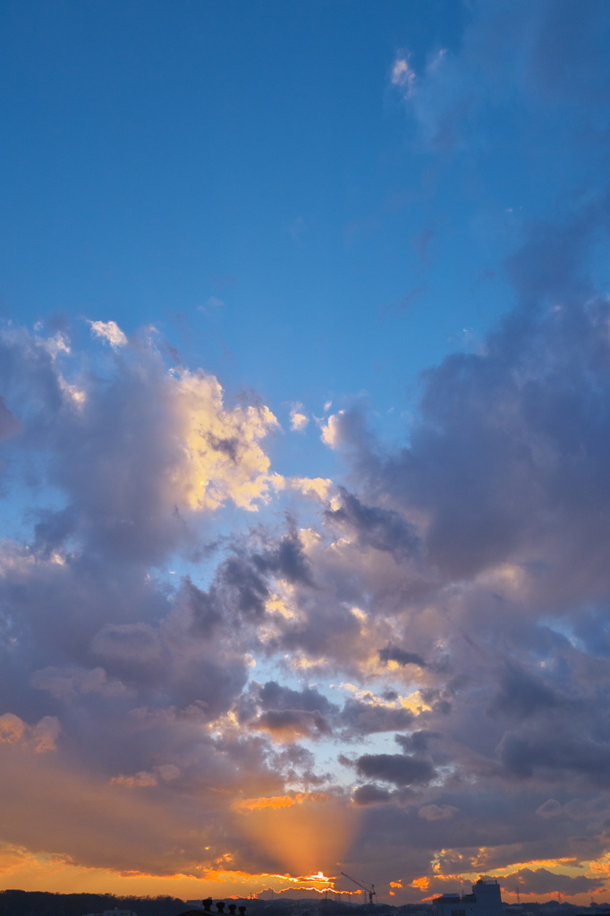 サラリーマンの見る夕日