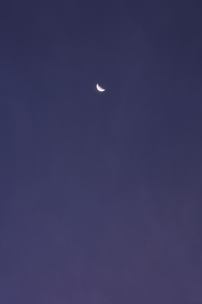 Morning Moon