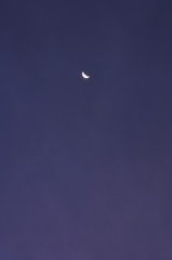 Morning Moon